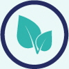 LE VOLET ENVIRONNEMENTAL